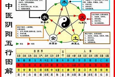 人的五行怎么看|如何查自己五行什么命 快速查自己的五行属性